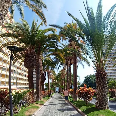 Paraiso San Telmo * Puerto de la Cruz (Tenerife)